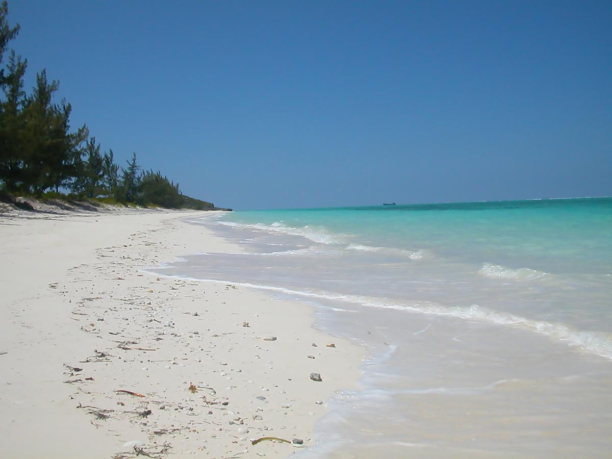 Hollywood Beach Suites Turks And Caicos Whitby Fasiliteter bilde