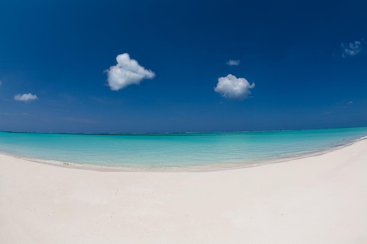 Hollywood Beach Suites Turks And Caicos Whitby Eksteriør bilde